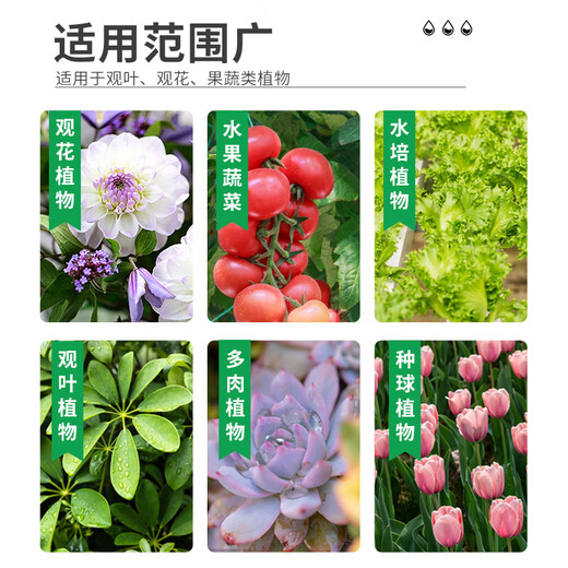 Manlife plant nutrient solution 600ml*2 universal green plant green dill flowers hydroponic flowers potted flower fertilizer bird of paradise