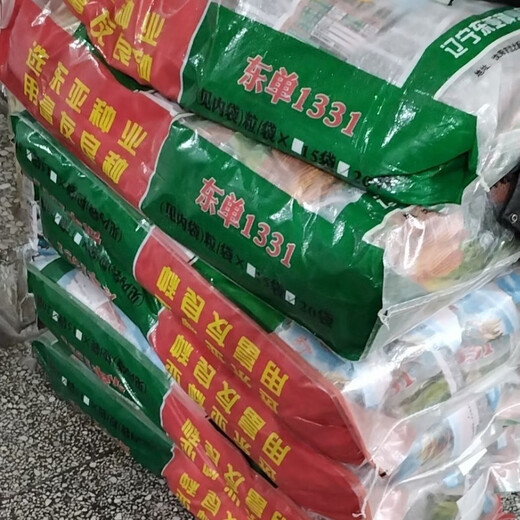 Пять стран рассмотрели семена кукурузы Dongya Seed Industry Dongdan 1331/5500 для весеннего и летнего посева с короткими стеблями, устойчивостью к полеганию и устойчивостью к ржавчине. Пять стран проверили семеноводство Восточной Азии Dongdan 1331. Один мешок на 5500 зерен x Национальный обзор высокой урожайности.