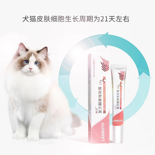 LABOTO ringworm clearing cat ringworm ointment cat ringworm medicine cat skin disease medicine pet fungal infection medicine compound ketoconazole ointment (for cats only) 15g/tube