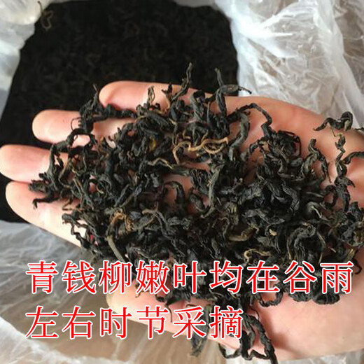 青钱柳批发修水金钱柳张家界青钱柳湖南城步茶 青钱柳原叶250克(半斤)