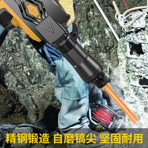 Leiya large drill bit 115 high-power electric pick 65 pick 95 point chisel flat chisel impact concrete chisel heavy-duty pick tip large square shovel (for large electric picks)
