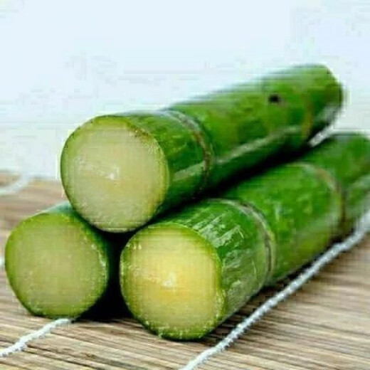 Sugarcane seeds, high-yielding golden sugarcane, sown in all seasons, planted in the south and north, crispy, sweet and chewy varieties, 110 pieces of green seeds