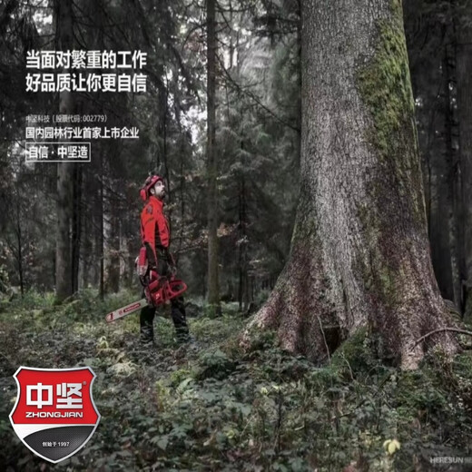 Zhongjian Chainsaw Professional-grade high-power logging saw model 125, 255, 256, 360 Industrial-grade chain saw Moso Bamboo Saw Zhongjian 256-20 inches with 1 chain and 1 guide plate Haoli