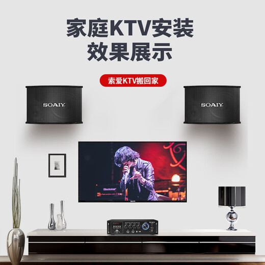 Sony Ericsson (soaiy) home theater KTV audio set living room home TV singing karaoke commercial store conference equipment karaoke full set of professional amplifier speaker microphone combination CK-M6
