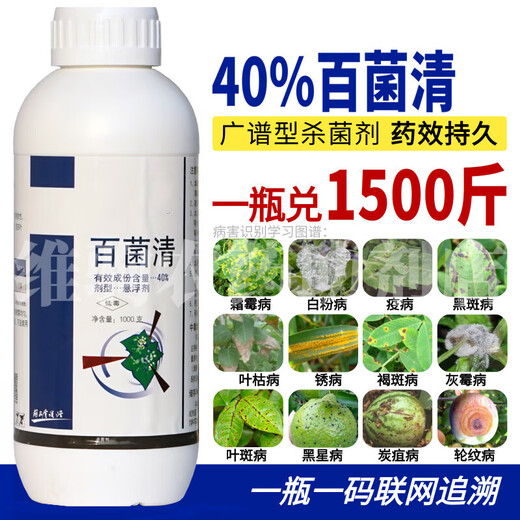 Imported chlorothalonil, citrus fruit tree anthracnose, powdery mildew, leaf spot, leaf rust, scab, downy mildew, flower rose succulent 1000g/bottle