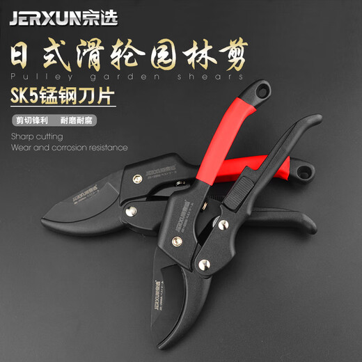 JERXUN pruning shears, garden scissors, tree branches, fruit tree scissors, gardening shears, flower shears, powerful thick branch shears, floral scissors tools