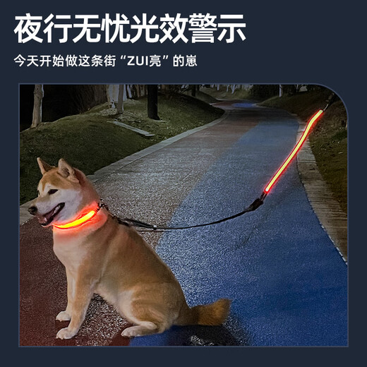 Luomasi dog luminous collar, pet collar, dog walking lamp, luminous neck collar, traction rope for large, medium and small dogs, rechargeable, adjustable, USB rechargeable - orange collar S- (recommended 15-30 Jin Jin equals 0.5 kg)