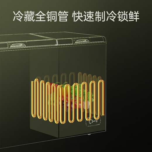 AUCMA 302 liter household freezer, dual-temperature double-box large-capacity freezer, horizontal ice cream cabinet, dual-temperature freezer, refrigerated all-copper tube BCD-302CNE national subsidy