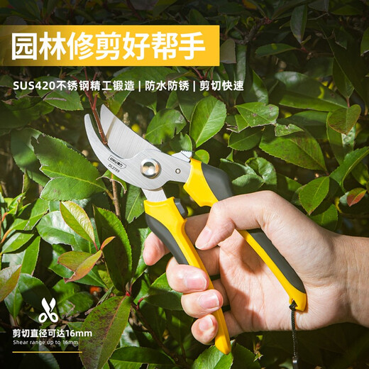 Deli fruit tree scissors, pruning scissors, garden flower scissors, gardening flowers and trees, branch pruning, thick branch pruning shears, labor-saving scissors, 8-inch stainless steel blade, can cut 15mm wet branches, pruning shears
