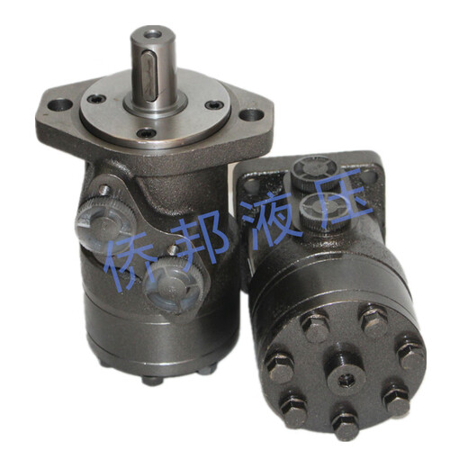 Rotary BMR80/50/100/125/160/200/250/315/400 mold extraction motor BMR63 four holes