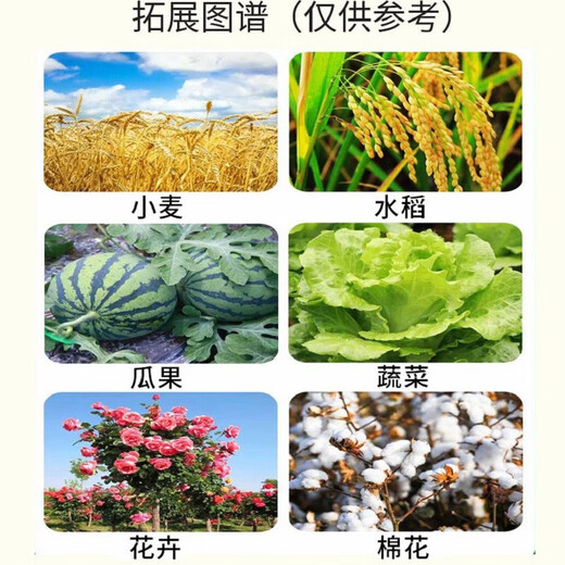 Hulian Plant Protection Pesticide 14 Hydroxy Brassinosteroid 0.04% Brassinolide Rooting and Strengthening Seedlings Relieving Chemical Damage Preserving Flowers and Fruits Increase Yield 100ml/10 Bottles