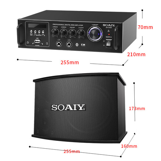 Sony Ericsson (soaiy) home theater KTV audio set living room home TV singing karaoke commercial store conference equipment karaoke full set of professional amplifier speaker microphone combination CK-M6