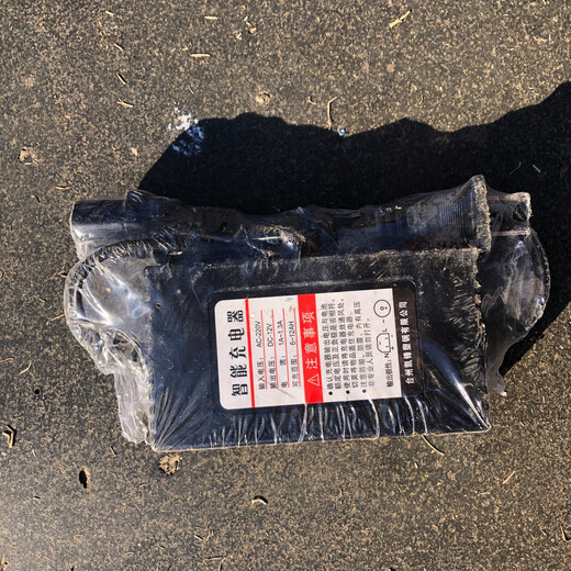 Kaifeng agricultural electric sprayer charger electric sprayer accessories smart charger lithium battery charger 12 volt smart charger