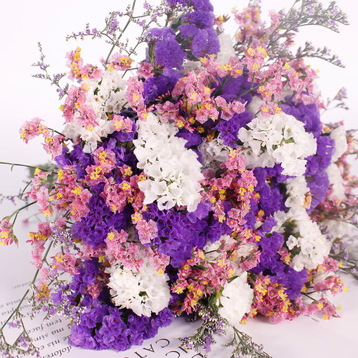 Love Yunnan Forget-Me-Not Dried Flowers Flower Ornaments Living Room Decoration Real Flower Arrangements Gypsophila Bouquet Festival and Birthday Matching Rose Red Yellow White Don't + Lover's Grass About 30 pcs