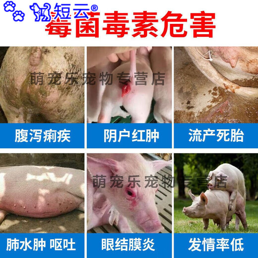 Duanyun Veterinary Mildew Remover for Sows, Cows and Sheep, Pregnant Livestock, Chickens, Ducks, Goose and Pigeons can be mixed with water and feed additives. 7 bags of mold remover and 10 bags of real hair.