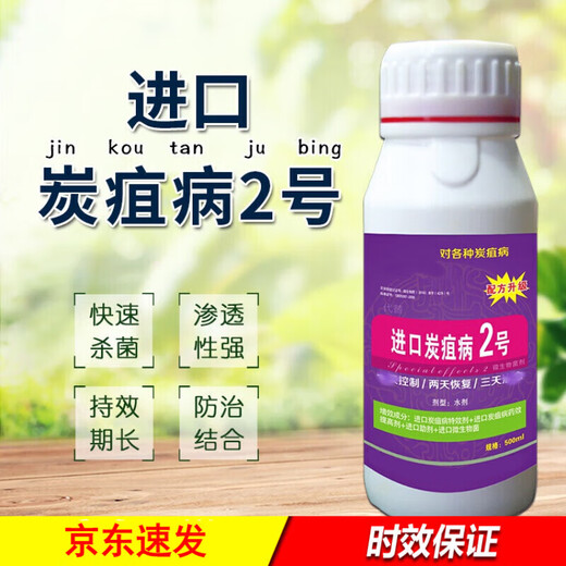 Imported No. 2 anthracnose fungicide, pepper, cucumber, tomato, watermelon, grape and strawberry anthracnose special medicine 1 bottle 500g/bottle