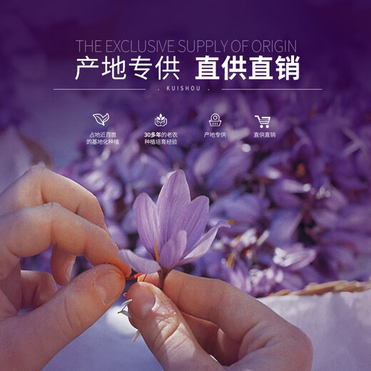 Zhenpin Island ZHENPDO Shanghai Chongming Saffron Authentic Official Saffron Special Saffron Fat Donglai Quality Gift to Elders Super Value Pack 1 gram (Broken Flower)
