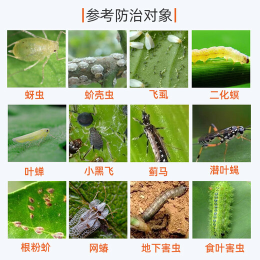 Beikeshi small white medicine multi-succulent scale insect aphid small black fly plant general flower insecticide soil insecticide granules insect control granules 100g