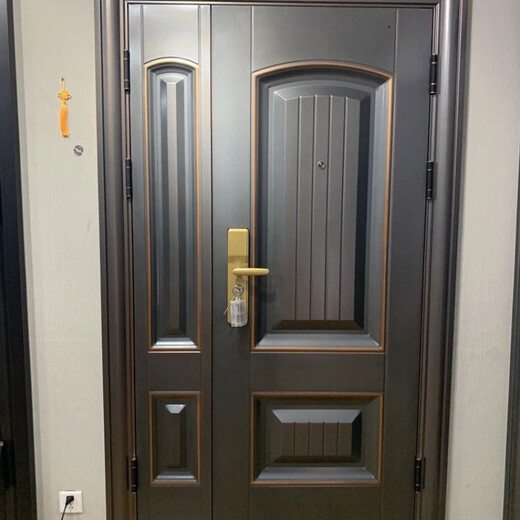 维诺亚甲级防盗门锌合金门子母门家用安全门进户门入户门定制别墅大门 甲级门+指纹锁(标配)