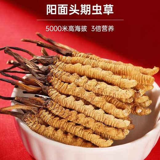 冬虫夏草（顺丰直发)藏区高海拔冬虫夏草礼盒送礼高端大气上档次 那曲虫草2根1克10条装