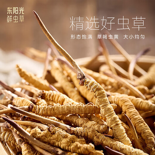 Dongyang Sunshine Cordyceps сахар сахар сахар сахар сахар сахар сахар сахар сахар подарка отца в день отца с 7 частями [наслаждайтесь с открытой крышкой, удобный пакет обмена]