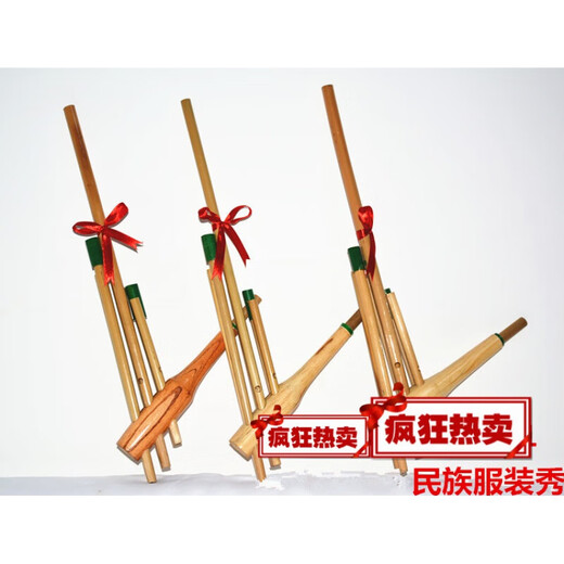 Shanbei Guizhou Miao Lusheng ethnique Bamboo à la main