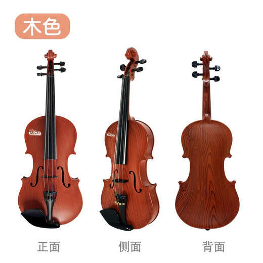 BAOLI Baoli early education musical instrument violin beginner's introduction to enlightenment music enlightenment toys 3-6 years old boys and girls birthday gifts