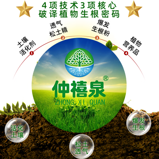 Zhongxiquan Breathable Rooting Powder Vegetables and Flowers Field Fruit Trees and Fruits Transplanting Seedlings Rapid Rooting Agent Powerful Rooting Liquid 500g*3 Bags