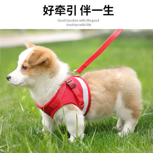 KimPets Dog Leash Reflective Vest Harness Dog Leash Small Dog Teddy Supplies Blue (With Leash) XL-Extra Large (Suitable for 15-20 Jin Jin equal to 0.5 kg pets)