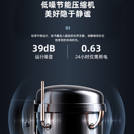 WINDELN Wendell red wine cabinet compressor constant temperature wine cabinet household mini small moisturizing tea cigar storage refrigerator compressor air-cooled wooden shelf 31 bottles