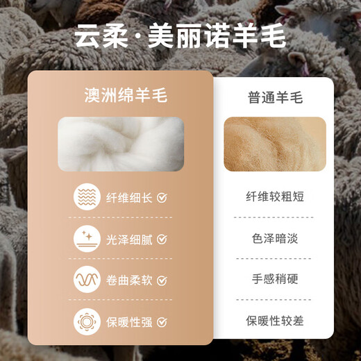 梦特娇（MONTAGUT）[绵羊毛/保暖加厚]梦特娇冬季纯羊毛背心男V领马甲毛衣坎肩J 蓝色117 50