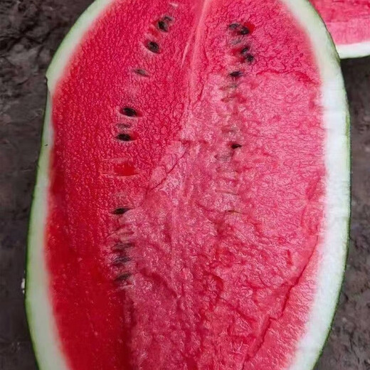 Dayu Lazy Man Watermelon Seed Seedlings Extra Large Suitable for Early Maturing Lazy Man in the South 8424 Kirin Melon Meidu Seedless Fruits and Vegetables Big Fruit Black Beauty Watermelon Seeds 20 capsules 4-6kg