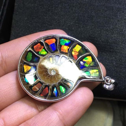 Fanluxe Canadian Ammonite Conch Colored Stone Pendant, about 30 to 35cm high, with ammolite stone inlaid in the conch.
