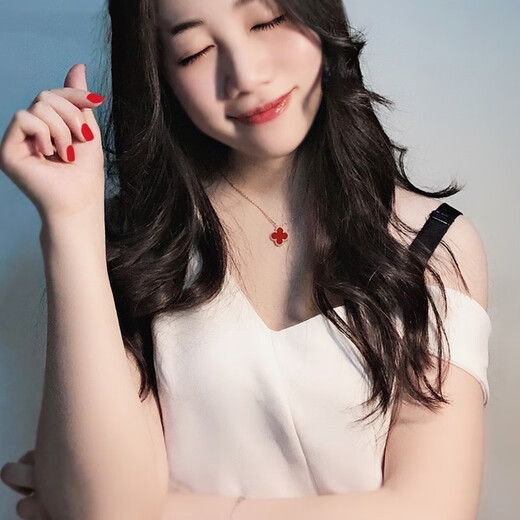 Fafanxi Light Luxury Four-leaf Clover Necklace for Women 18K Color Gold Internet Celebrity Simple Rose Gold Chinese Valentine's Day 520 Gift for Girlfriend Red Agate (13mm)