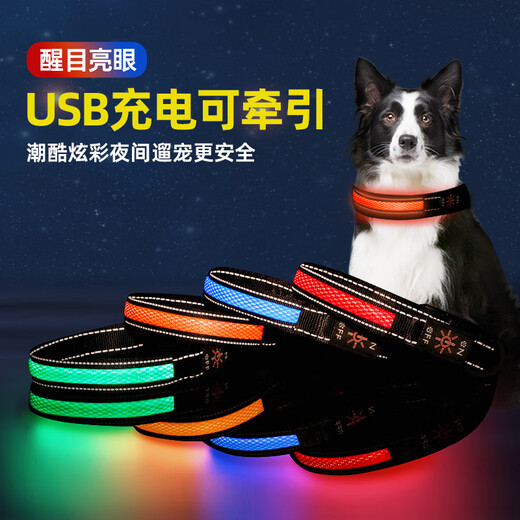 Luomasi dog luminous collar, pet collar, dog walking lamp, luminous neck collar, traction rope for large, medium and small dogs, rechargeable, adjustable, USB rechargeable - orange collar S- (recommended 15-30 Jin Jin equals 0.5 kg)