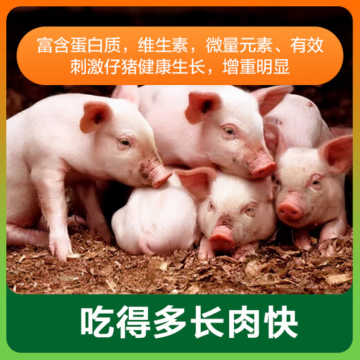 Zhengda Huadong Zhengda 4% piglet premix piglet feed is good in palatability and nutritious, comprehensively smoothes the skeleton, does not loosen the skin, and has bright fur