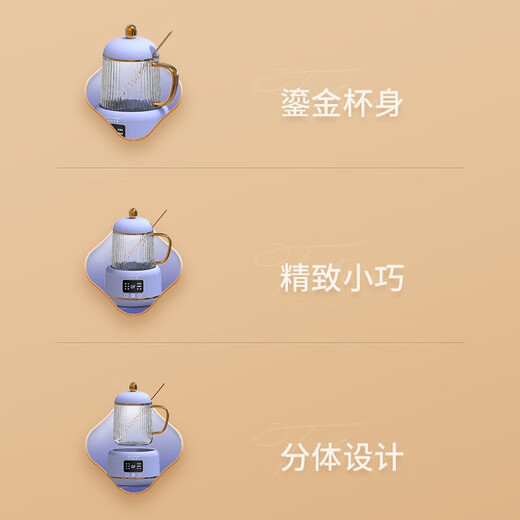 LIFE ELEMENT Mini Health Kettle, Automatic Insulation and Constant Temperature Heating, Gift for Wife and Girlfriend on Holidays and Birthdays, Multi-Functional Healthy Flower Tea, Stew, Electric Stew Health Cup I156