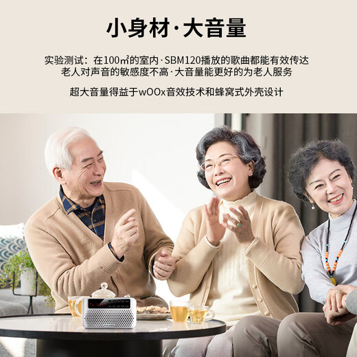 Philips (PHILIPS) SBM120 Radio for the Elderly Charging Card Player All-in-One for Listening to Songs, Opera and Storytelling for the Elderly FM Portable Silver