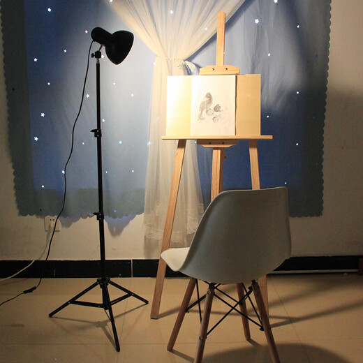 Miscellaneous new still life sketching lamp still life sketching lamp studio art student special sketch spotlight lighting photography lamp creative 2 meter sketching lamp + 10W white light