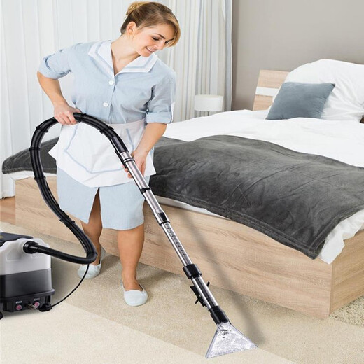 Yingheng Commercial Carpet Cleaning Machine Sofa Curtain Mattress Fabric Household Small Hotel Multifunctional Dry Cleaning Spraying and Extracting Machine Handheld High Temperature and High Pressure Steam Cleaning Machine Cleaning 9 Liters Extracting and Spraying Integrated Steam Model (With Double Grinding Heads)