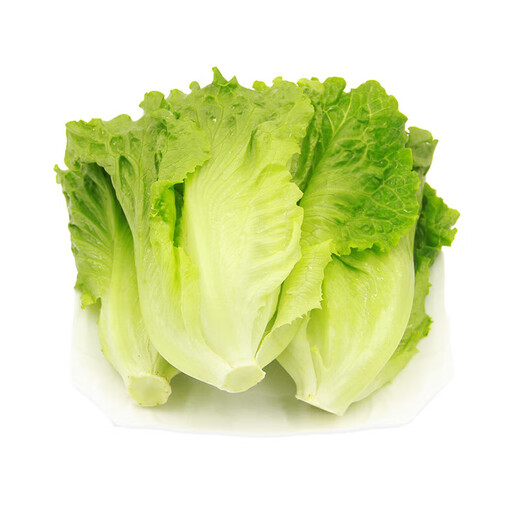 Yunnan fresh lettuce about 400g