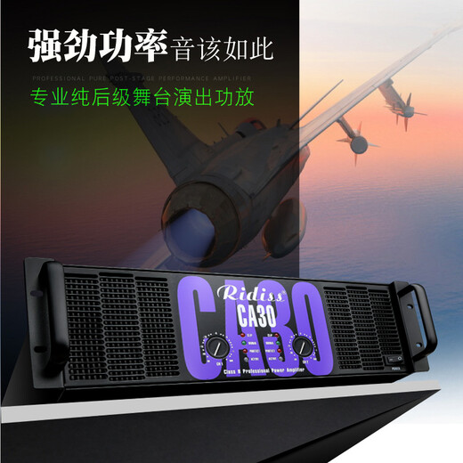 Ridiss amplificador de potencia profesional serie CA doble canal de alta potencia audio profesional escenario rendimiento de sonido ingeniería hogar KTV amplificador de potencia pura CA18 1200W*2
