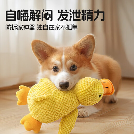 Zigman pet dog toy for dogs to play by themselves to relieve boredom and pleasure, resistant to chewing, grinding teeth and making sounds for puppies and puppies, dog walking and amusing tool