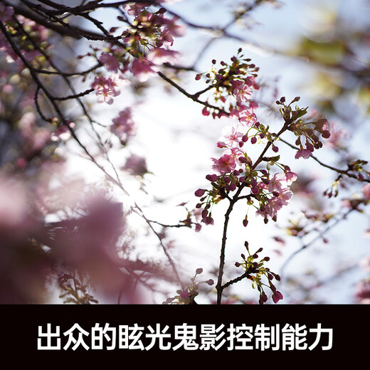 SIGMA Art 50mm F1.2 DG DN full-frame mirrorless large-aperture fixed-focus lens portrait (Sony E-mount)