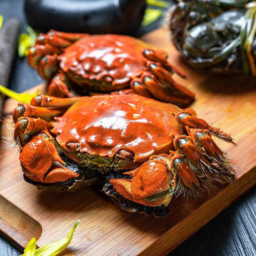 Gift Voucher Hutang Yanyu Yangcheng Lake Hairy Crab Gift Card Crab Card Gift Voucher Pickup Card Male 5 Female 4 Liang 4 Pairs Seafood Gift Box for Elder Leaders