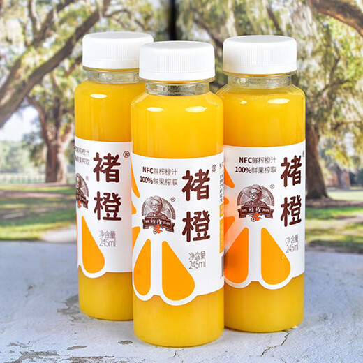 Chu Cheng 100% NFC freshly squeezed orange juice zero-added non-concentrated reduced juice 245ml*12 bottles for dining and camping