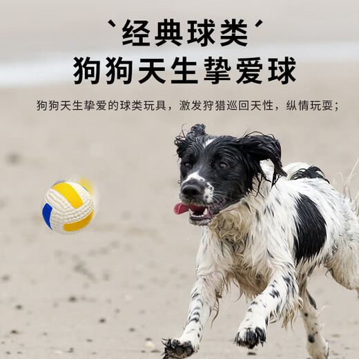 EETOYS Latex Sound Toy Ball Small Four-piece Set Dog Toy Fun Interactive Teething Companion Relieve Boredom Pet Supplies