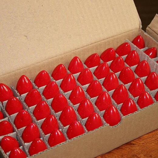 Yuanbo 2-pack electric candle lamp energy-saving red light bulb E12 screw socket for worshiping Buddha and offering sacrifices to electric candles for weddings and festivals ever-lasting lamp light bulbs 2 red light bulbs (shipped from Beijing warehouse)