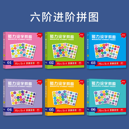 宝宝幼儿早教识字拼图汉字认字认知卡片3-4到6岁儿童进阶益智玩具 【磁力识字拼图3册装】4+5+6阶