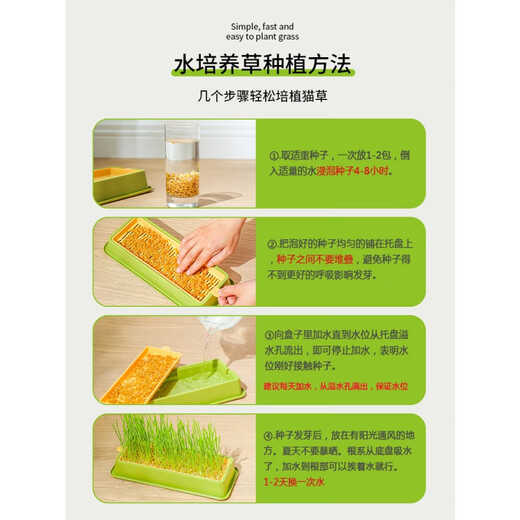 Cute cat grass potted soilless hydroponic fur ball lazy plant wheat seed seedling plate fur grass cat snacks large - hydroponic box fresh green + 5 packs of grass seeds 1 can